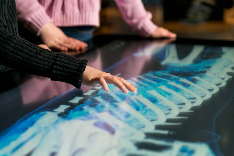 Two sets of kids hands using a touch screen to learn about animal anatomy through 3D visualisations